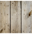 Wood Boards Floor Texture vector image