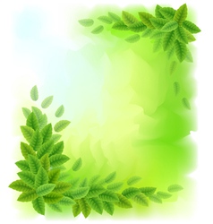 Sunny background with green leaves vector image