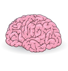 Human brain vector image