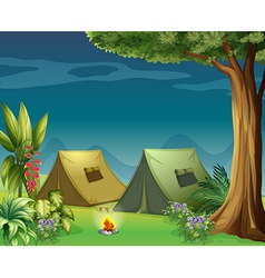 Tents in the jungle vector image