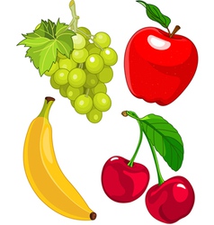 Fruit set vector image