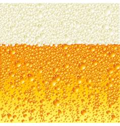Beer vector image