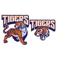 Angry tiger mascot vector image