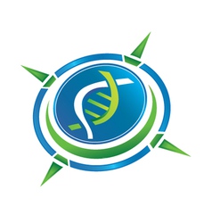 Compass dna logo vector image