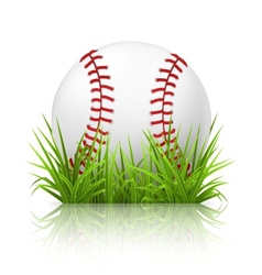 Baseball on grass vector image