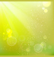 Beautiful summer background vector image