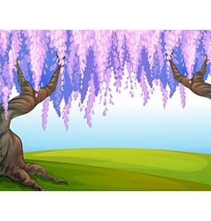 Big trees in the park vector image