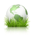 Globe on grass vector image
