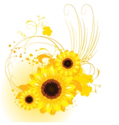 Sunflowers vector image