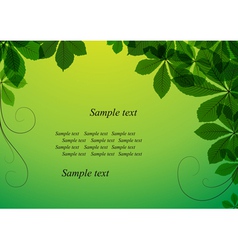 Green leaves background vector image