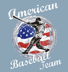 Baseball us flag vector image