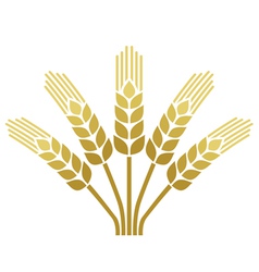 Wheat ear icon vector image