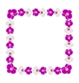 Beautiful orchid flowers frame vector image