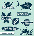 Surfing Beach Labels Set vector image