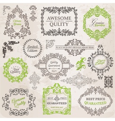 Set Calligraphic Design Elements vector image