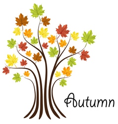 Autumn tree with colorful leaves Autumn tree with colorful leaves vector image