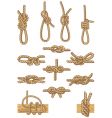 Boating knots vector image