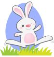 Jumping bunny vector image