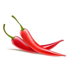 Two chili peppers vector image