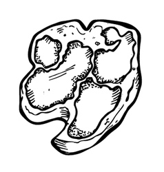 Raw meat vector image