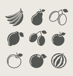 Set of fruit food icon vector image