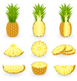 Pineapple vector image