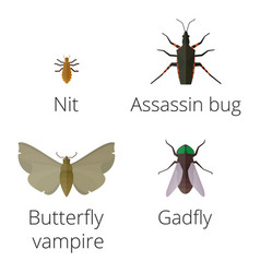 Colorful insects icons isolated wildlife wing vector image