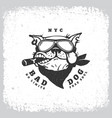Bad dog vector image