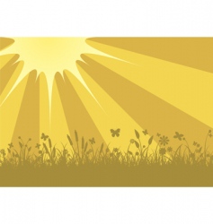 Summer background vector image