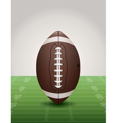 American football and field vector image