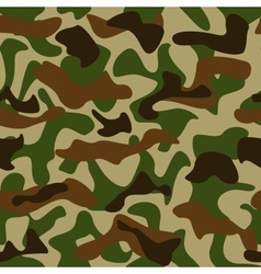 Camouflage pattern vector image