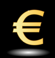 Euro symbol vector image