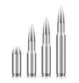Set of bullets vector image