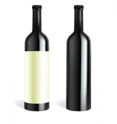 Bottle2 vector image