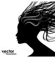 Woman Hair style Silhouette vector image