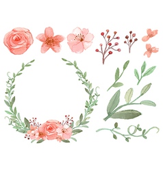 Set of flowers and leaves vector image