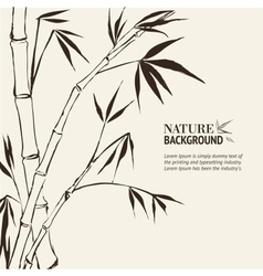 Bamboo Painting vector image