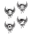 Boll with wings set vector image