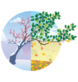 Seasons cycle vector image