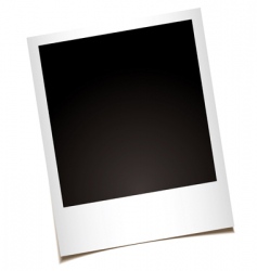 Photo vector image