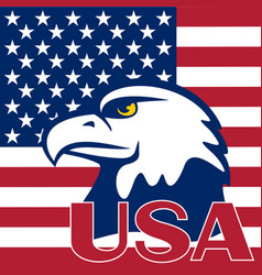 Flag of the usa and eagle Flag of the usa and eagle vector image