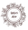 Herbs and spices label engraving vector image