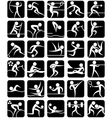 Summer Sports Symbols vector image