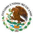 Mexican national flag symbol vector image