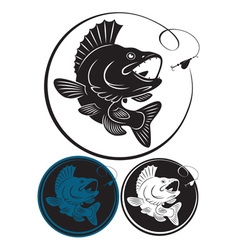 Perch vector image