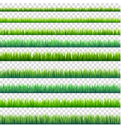 Grass isolated on transparent background set vector image