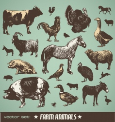 Farm animals vector image