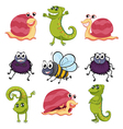 Animals and insects vector image