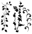 Collection for designers plant set vector image
