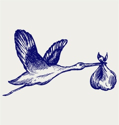 Stork and baby vector image